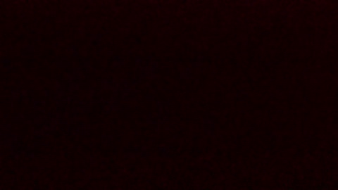 sladkoesolnishko  25-11-2022